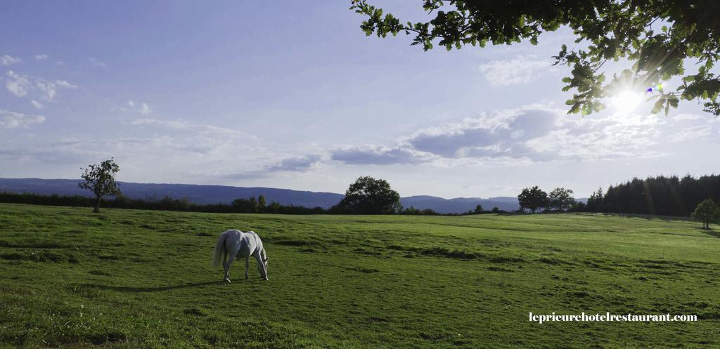 Domaine Le Prieure Otel Chaumont-le-Bourg Dış mekan fotoğraf